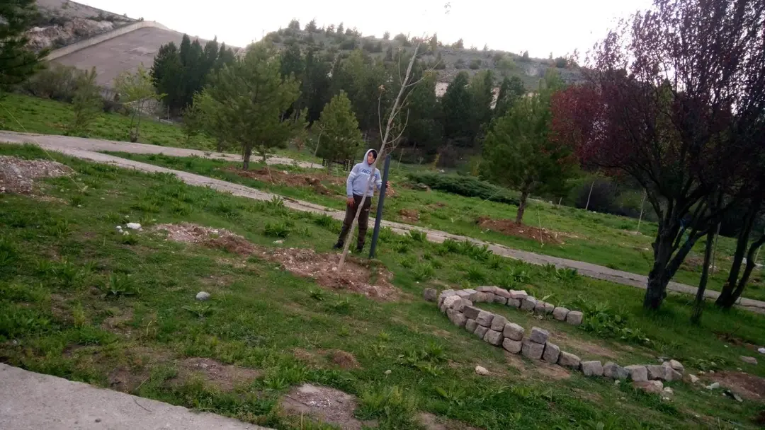 Çavdarhisar Barajı Tabiat Parkı — Kütahya — küçük resim 5