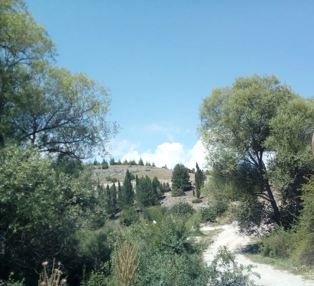 Çavdarhisar Barajı Tabiat Parkı — Kütahya — küçük resim 4