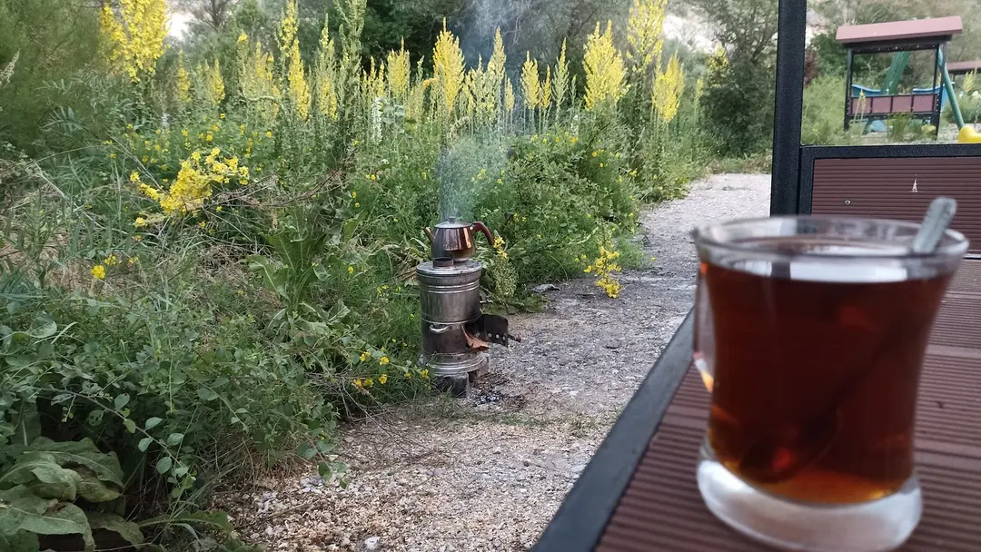 Çavdarhisar Barajı Tabiat Parkı — Kütahya — küçük resim 9