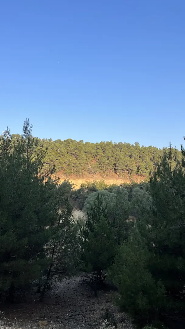 Karaağaç Göllet — Uşak — küçük resim 4