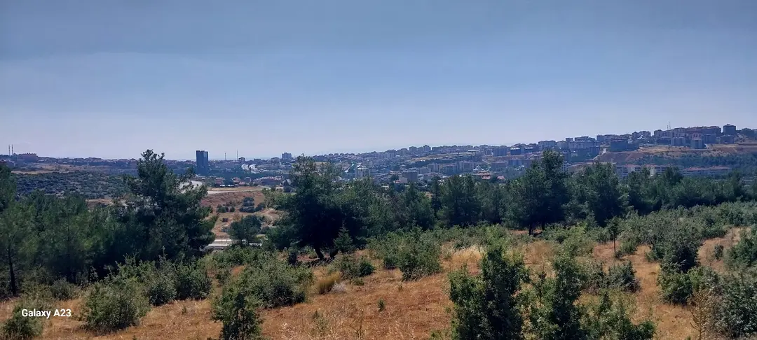 Mustafa Ümmügür Memorial Forest — Uşak — küçük resim 4