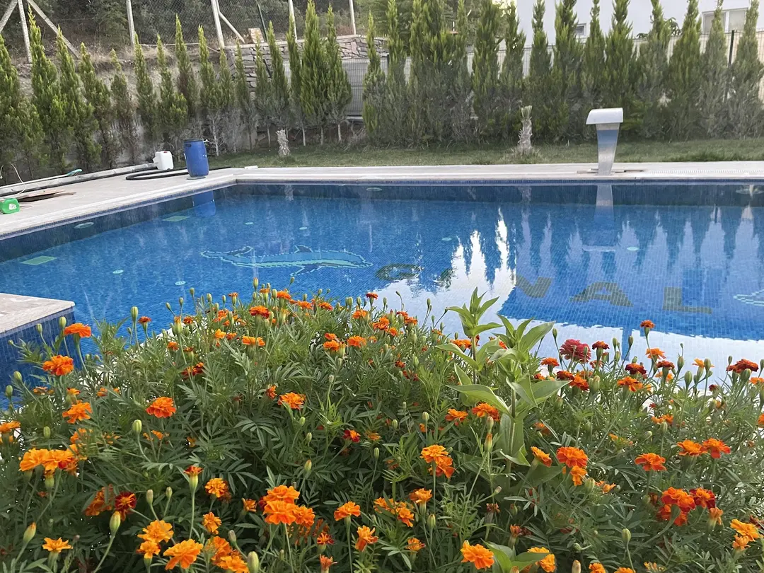 Villa Günal — Uşak — küçük resim 3