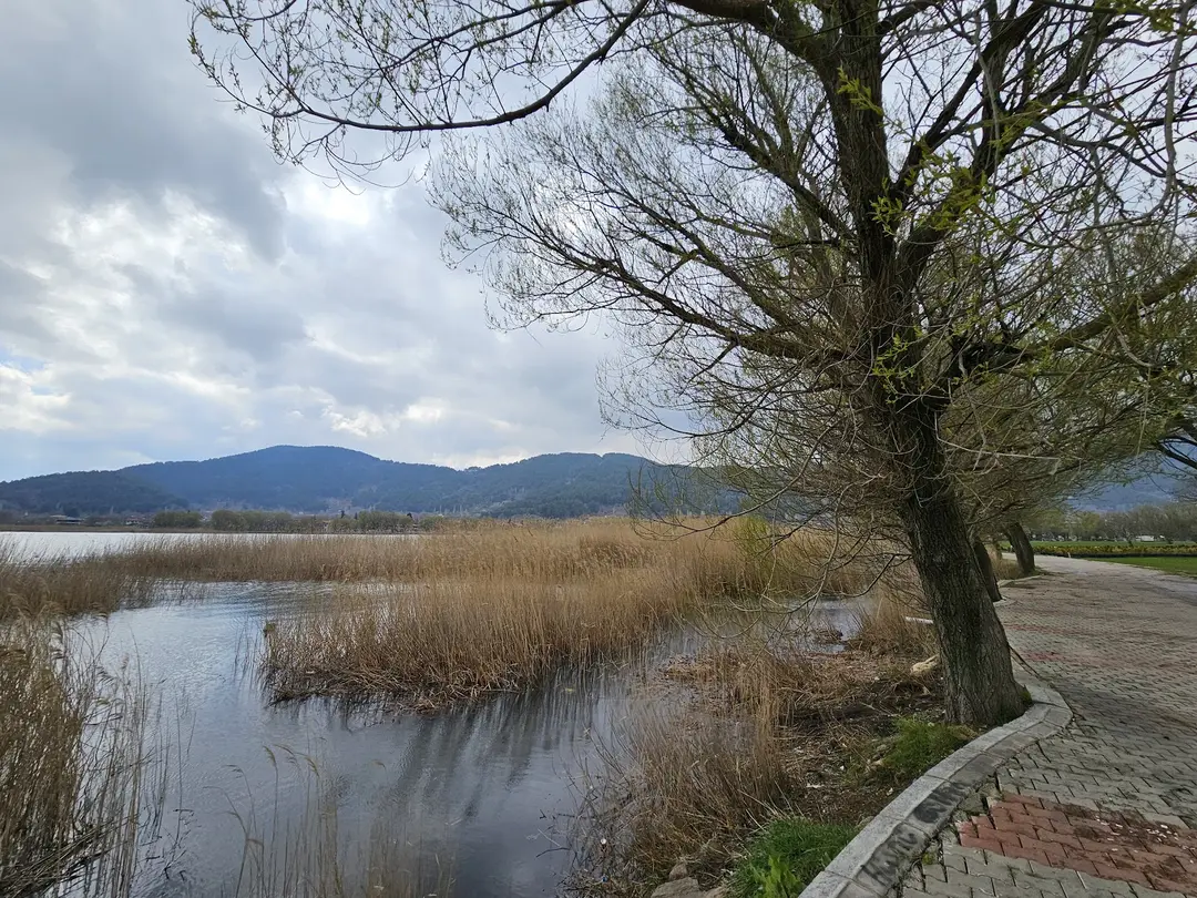 Gölköy Kamp Alanı — İzmir — küçük resim 10