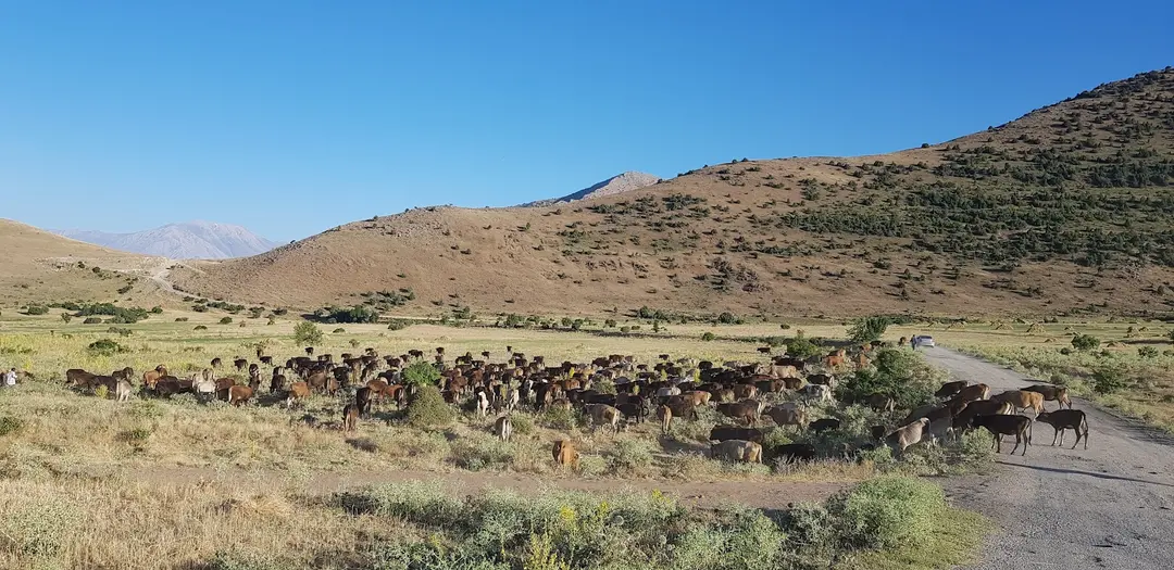 İnköy Doğal Kamp Alanı — Van — küçük resim 9