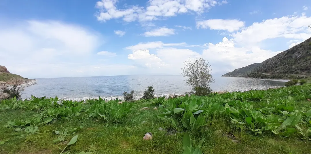İnköy Doğal Kamp Alanı — Van — küçük resim 6