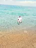Van Tuşba Mavi Bayraklı Plaj