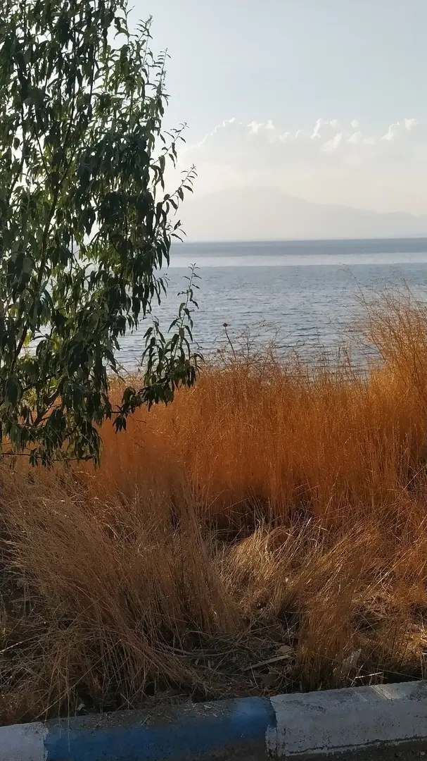 Van Tuşba Mavi Bayraklı Plaj — Van — küçük resim 3
