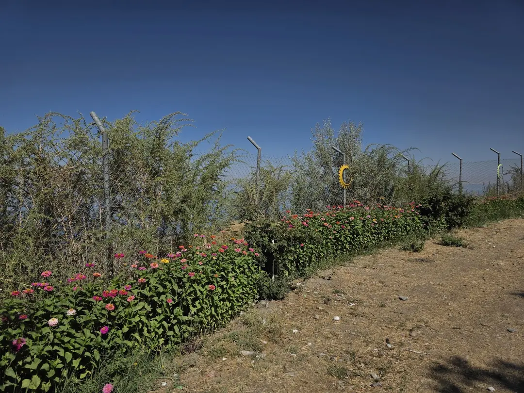 Adalet Kampı — Van — küçük resim 6