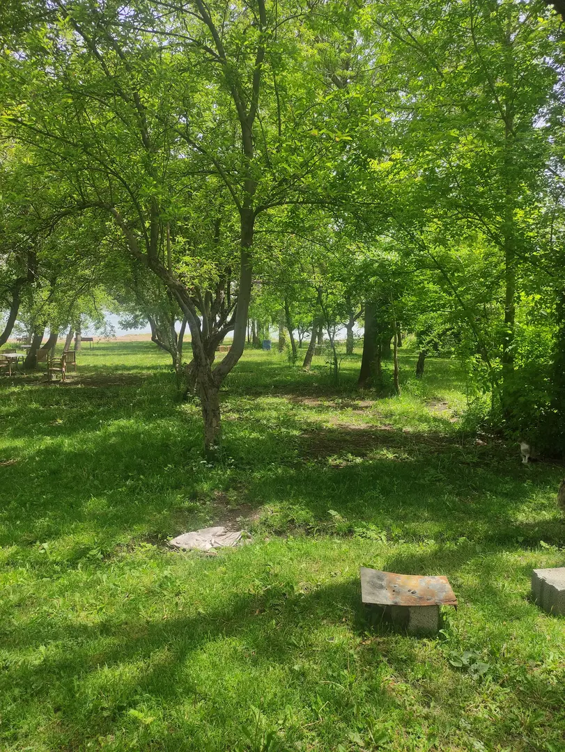Aspava Camping — Van — küçük resim 4