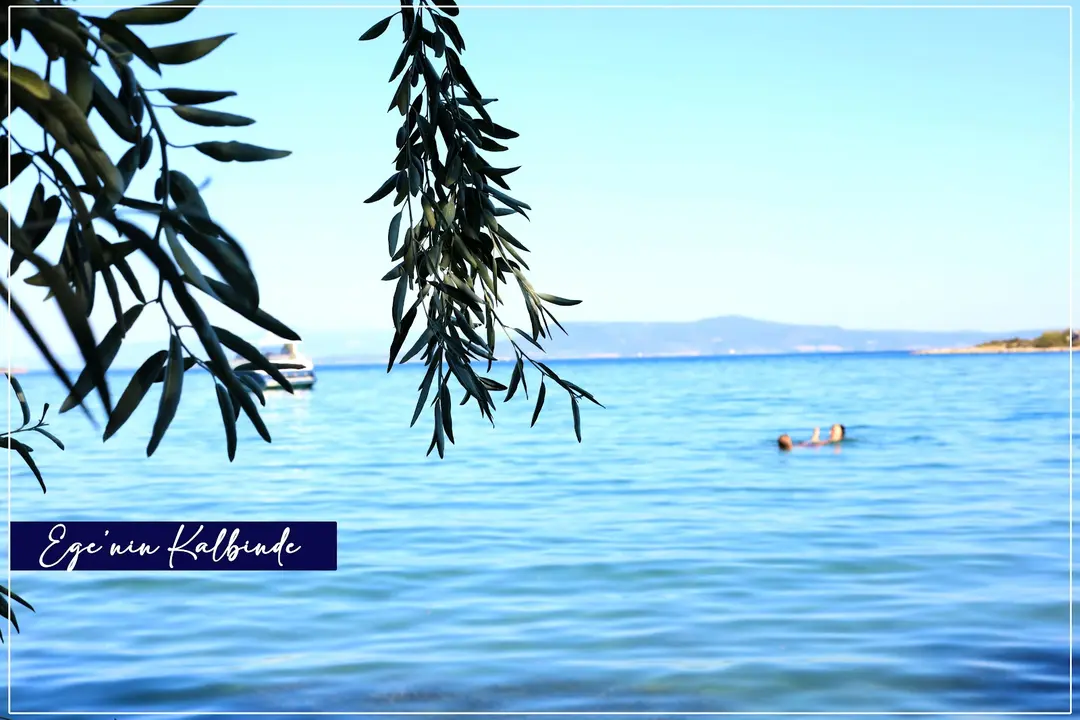 Saklıkoy Mordoğan — İzmir — küçük resim 3