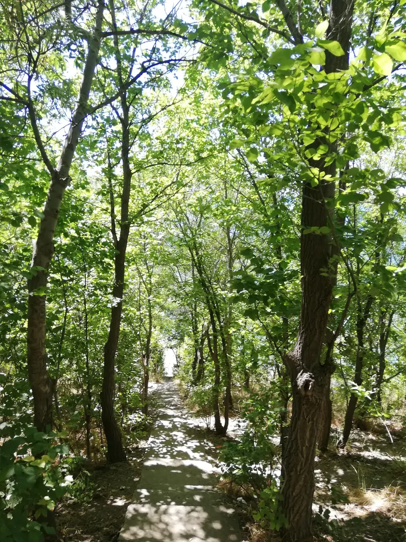 Çakırbey Piknik Alanı — Van — küçük resim 4