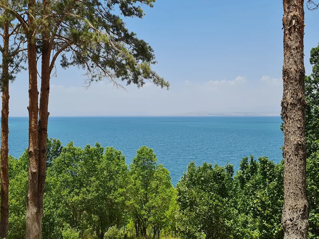 Çakırbey Piknik Alanı