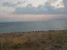 Özyurt plajı