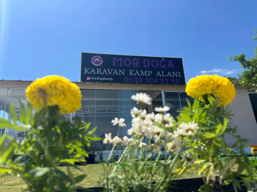 MOR DOĞA KAMP YERİ VE KAFE — İzmir — küçük resim 4