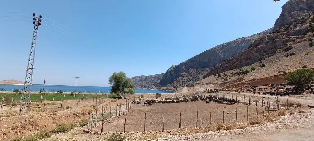 İnköy Tabiat Alanı — Van — küçük resim 10
