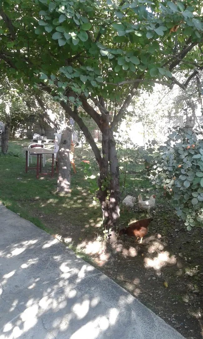 Sevgi Parkı — Van — küçük resim 7