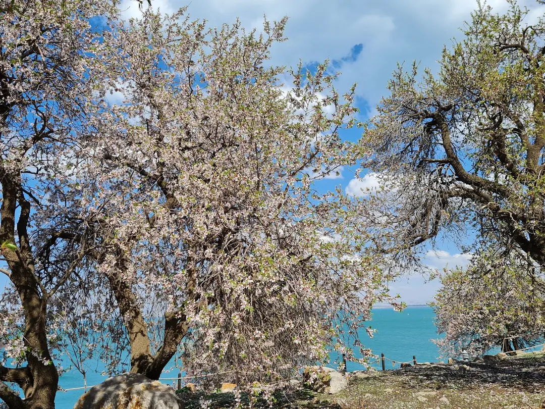 Güven Piknik Alanı — Van — küçük resim 8