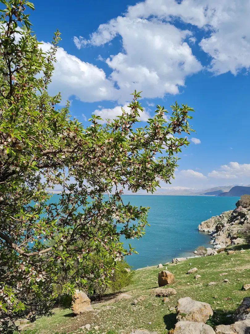 Güven Piknik Alanı
