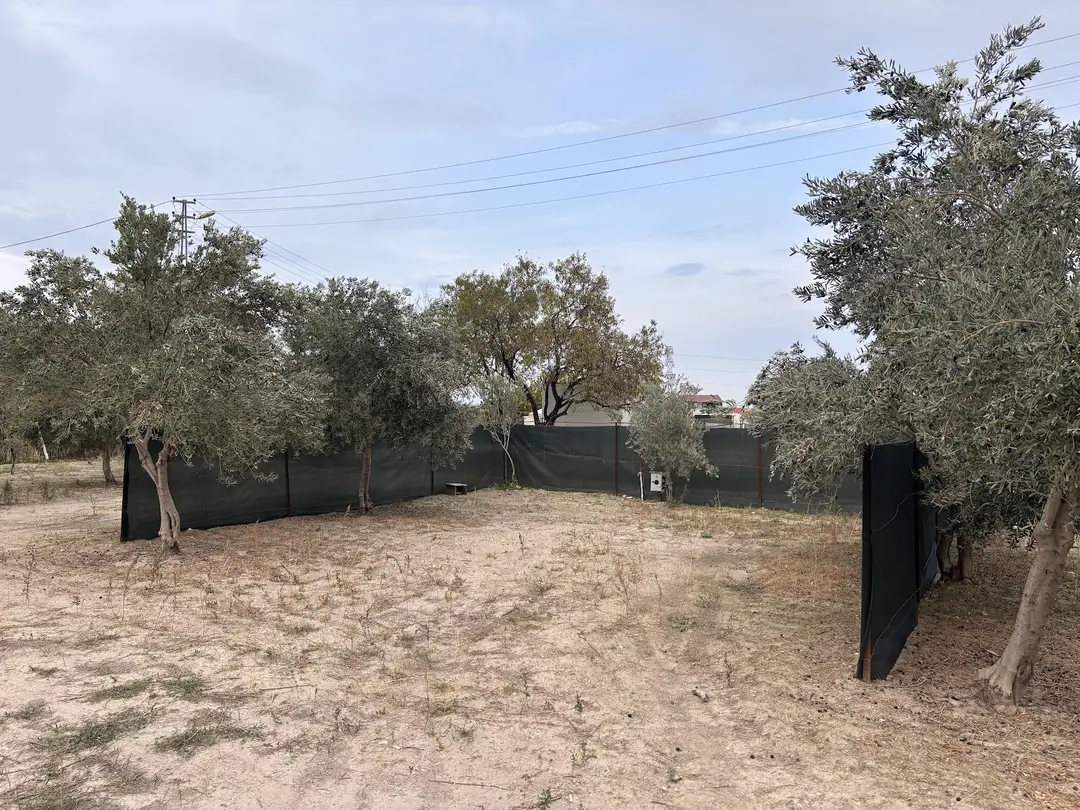 Morbahçe campingplads og teltlejr — İzmir — küçük resim 11