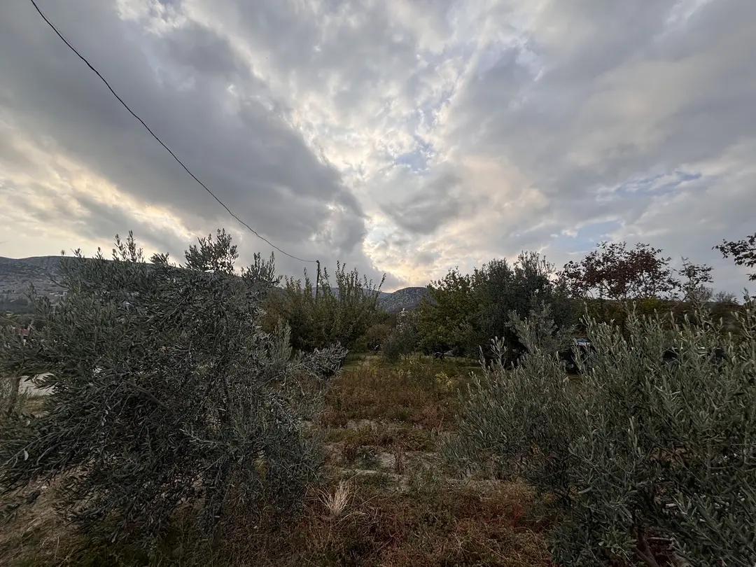 Morbahçe campingplads og teltlejr — İzmir — küçük resim 7