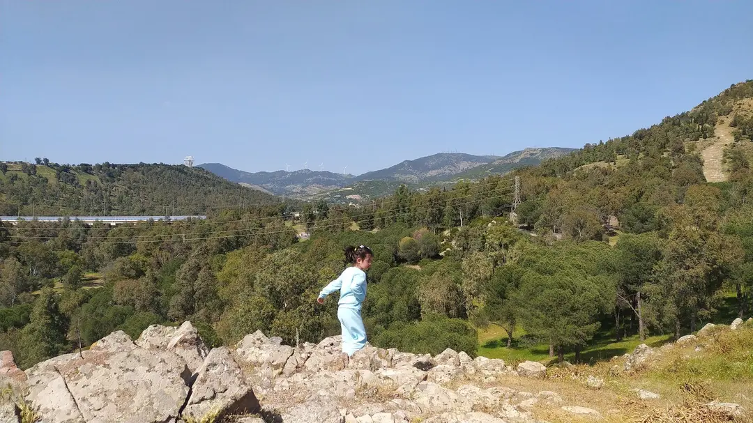 İzmir Atatürk Ormanı — İzmir — küçük resim 3