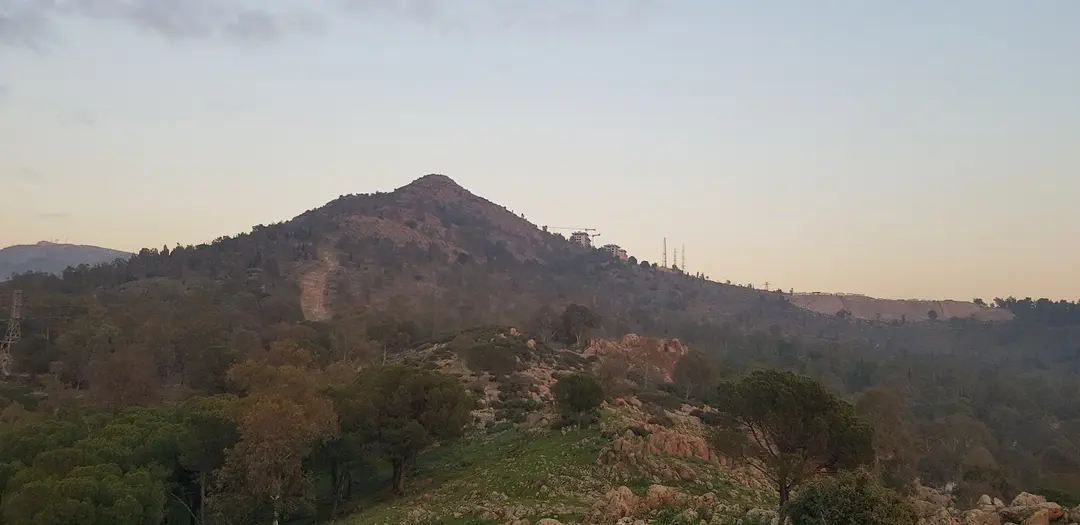İzmir Atatürk Ormanı — İzmir — küçük resim 4