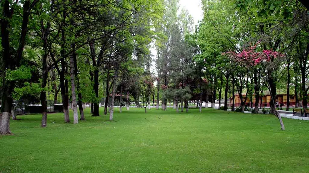 İzmir Atatürk Ormanı — İzmir — küçük resim 6