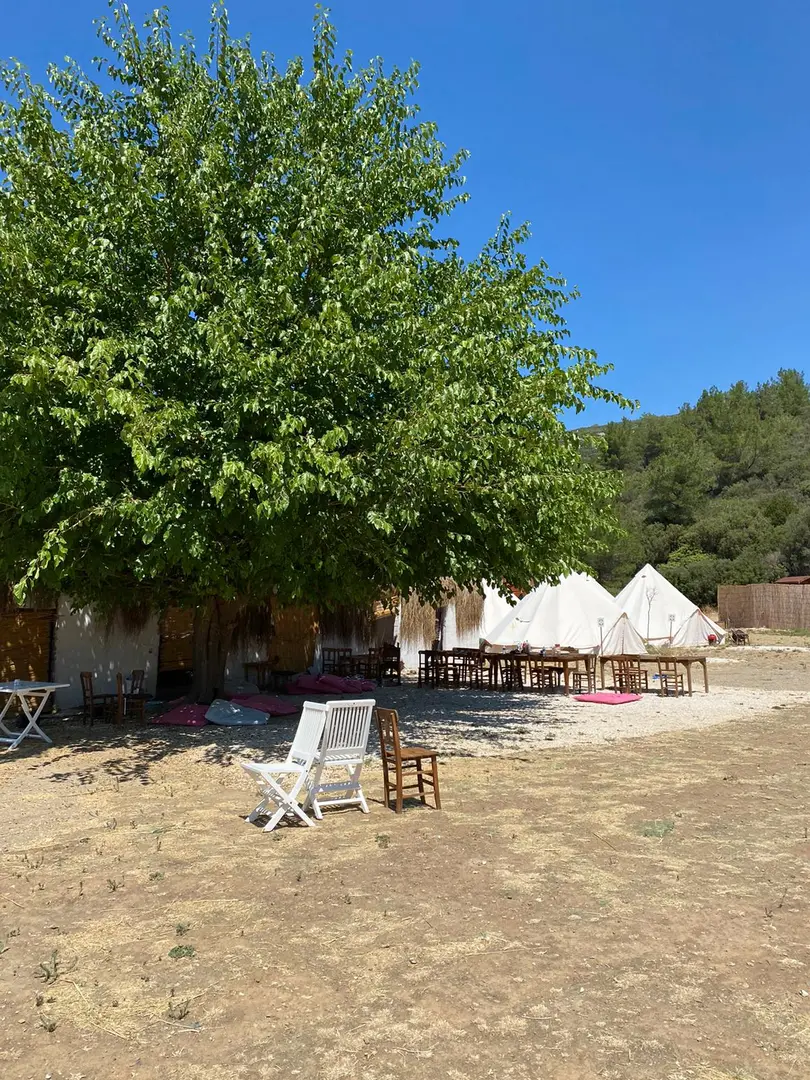 Into the wild glamping izmir — İzmir — küçük resim 5
