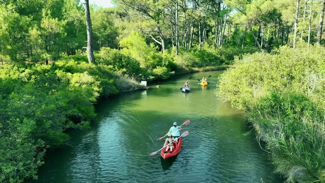 Club Amazon Bördübet — Muğla — küçük resim 5