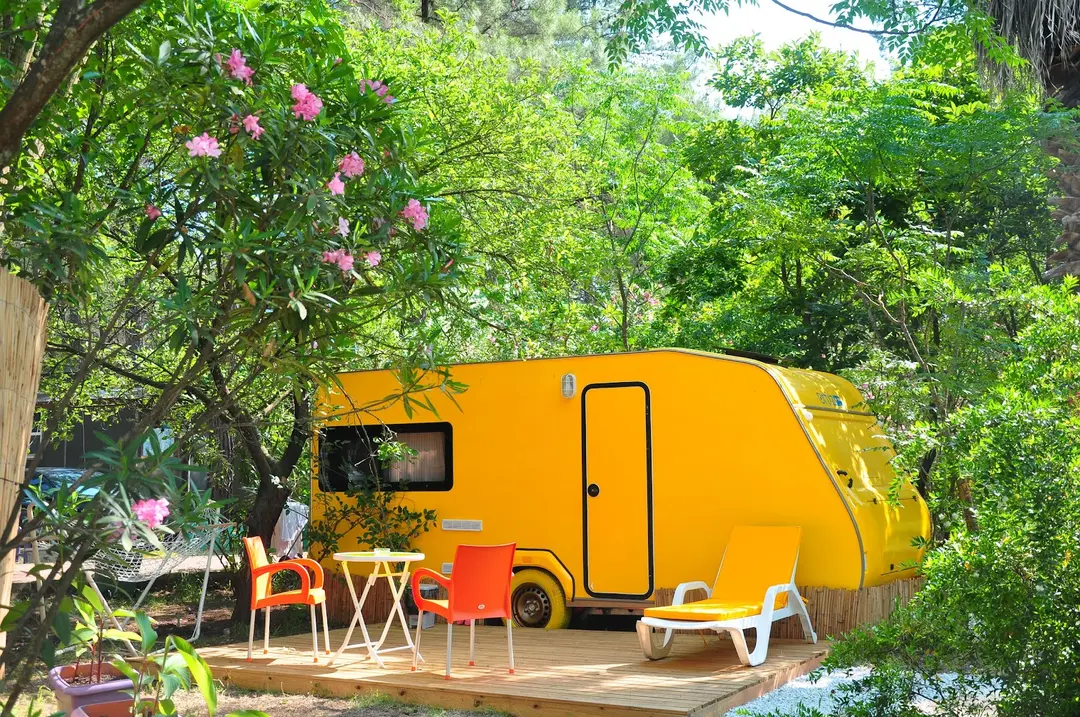 Club Amazon Bördübet — Muğla — küçük resim 7