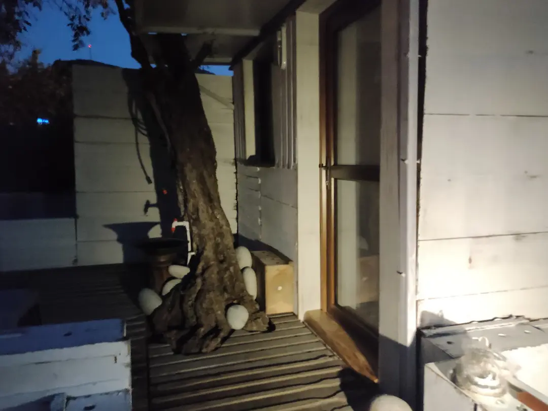 Double CC woodcamp — İzmir — küçük resim 9