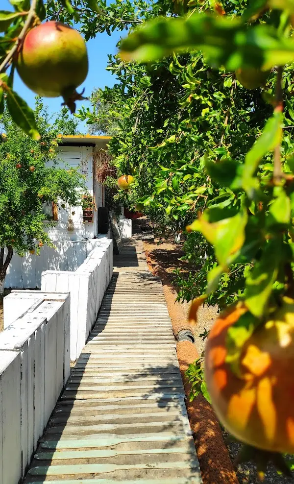 Double CC woodcamp — İzmir — küçük resim 6
