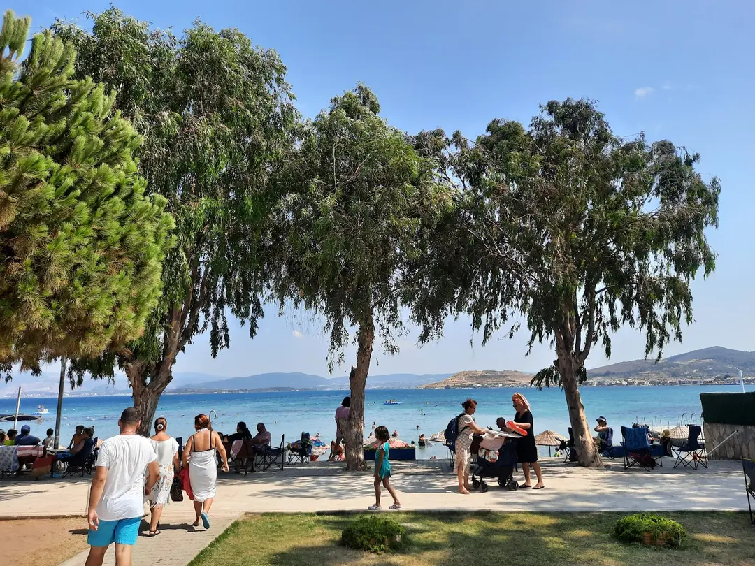 YollucaKamp — İzmir — küçük resim 6