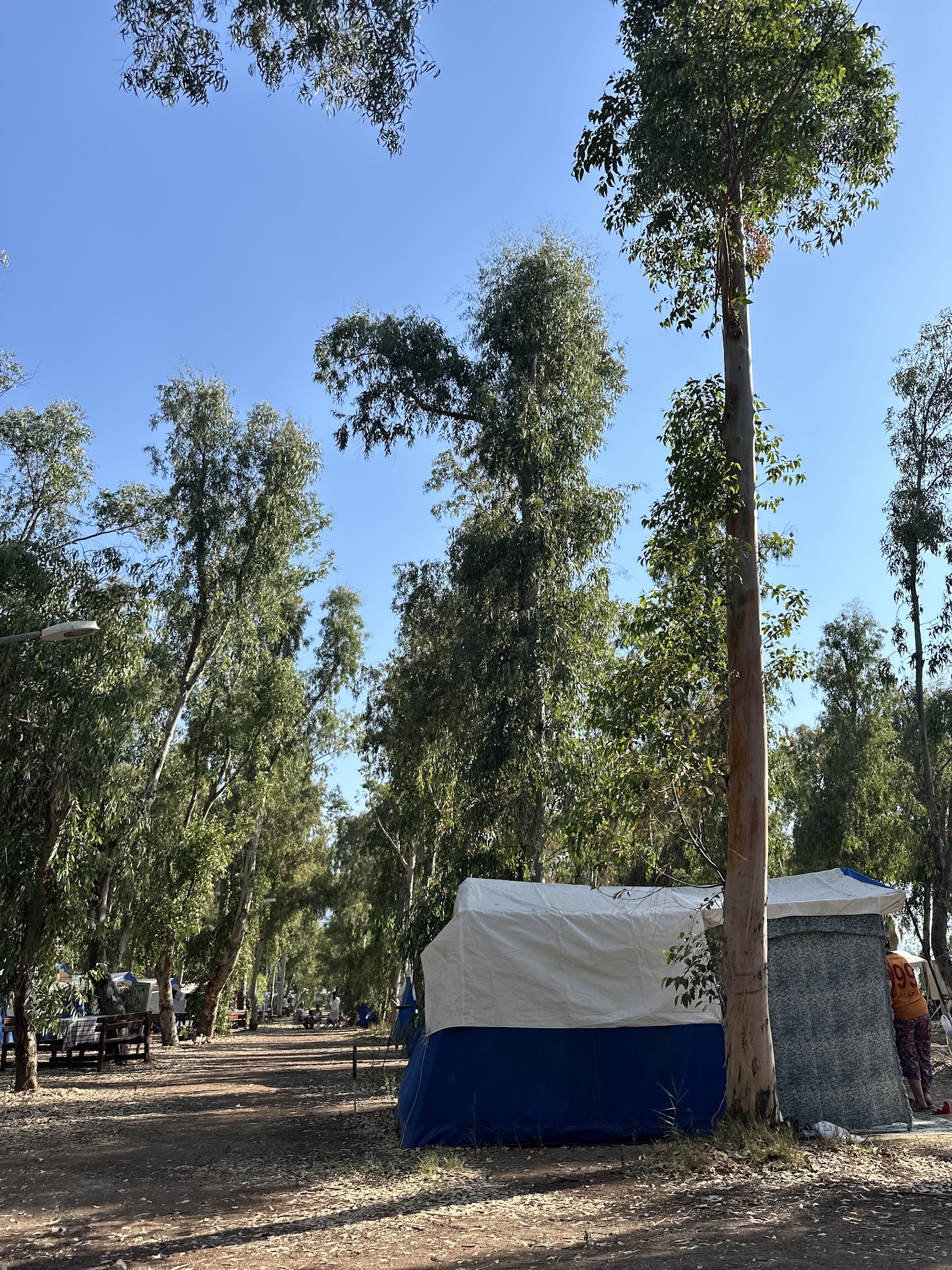 Ada Camping — Aydın — küçük resim 10