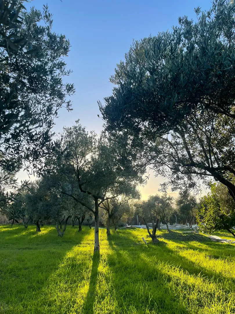 UrlaVan Karavan Parkı