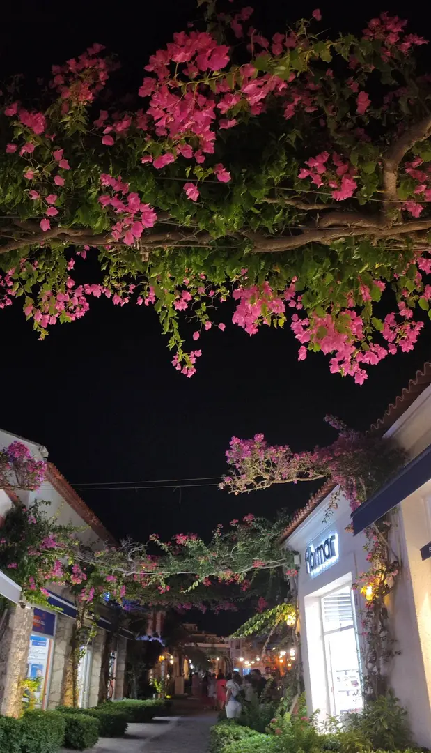 Elit Club Çesme Karavan & Çadır Camp — İzmir — küçük resim 3