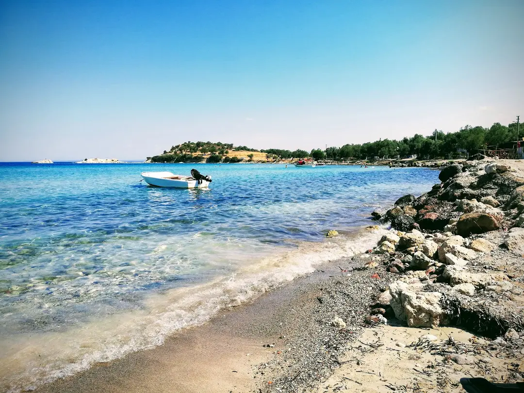 Zeytin Gölgesi — İzmir — küçük resim 8