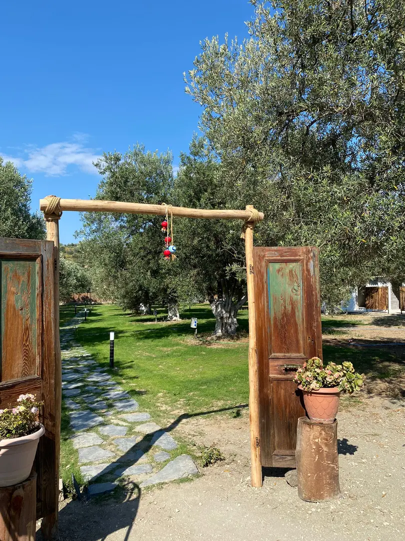 Zeytin Gölgesi — İzmir — küçük resim 3