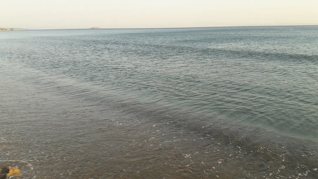 Gümüldür Tabiat Parkı — İzmir — küçük resim 9