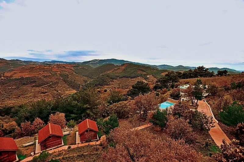 Gödence Hotel, Restoran, Bungalow — İzmir — küçük resim 4