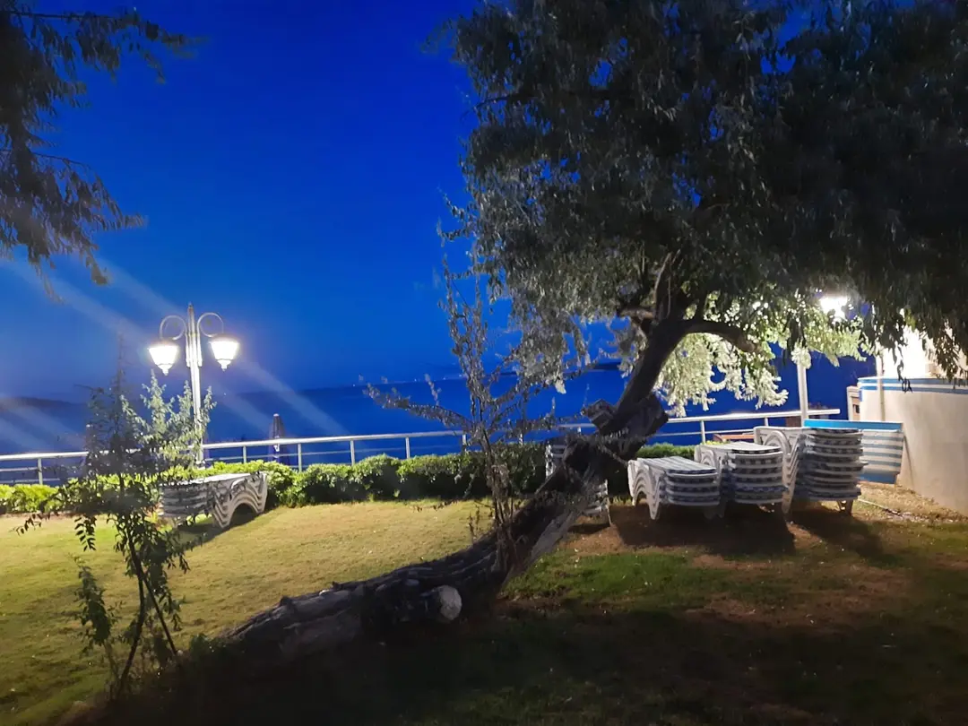 Palm Bungalows — İzmir — küçük resim 8