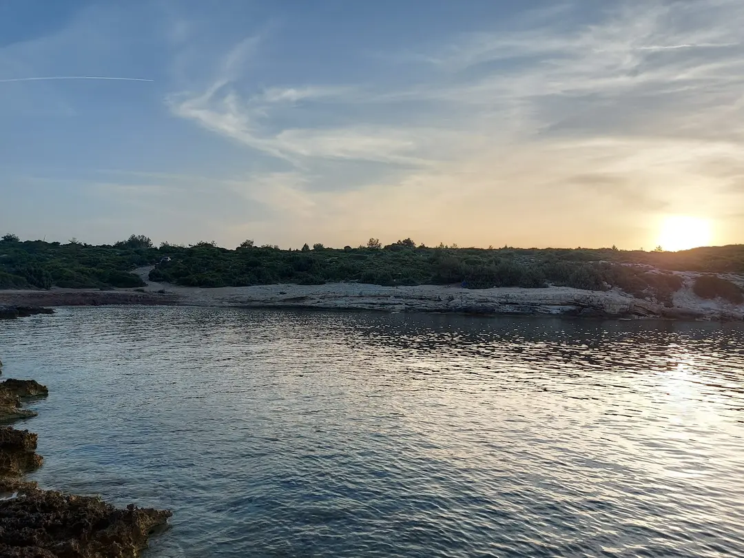 Çakal koyu — İzmir — küçük resim 10