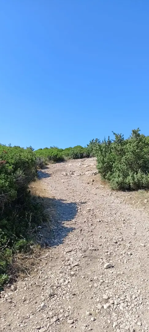 Çakal koyu — İzmir — küçük resim 5