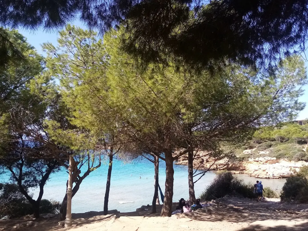 Ekmeksiz Tabiat Parkı — İzmir — küçük resim 4