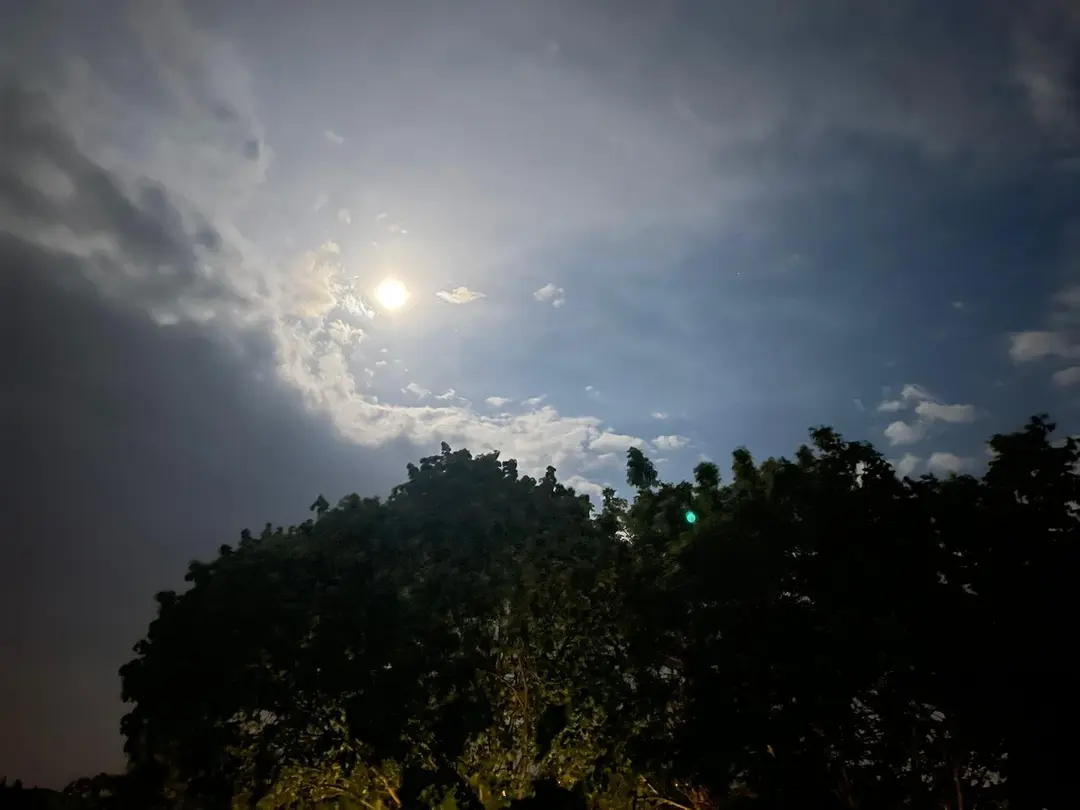 Ekmeksiz Tabiat Parkı