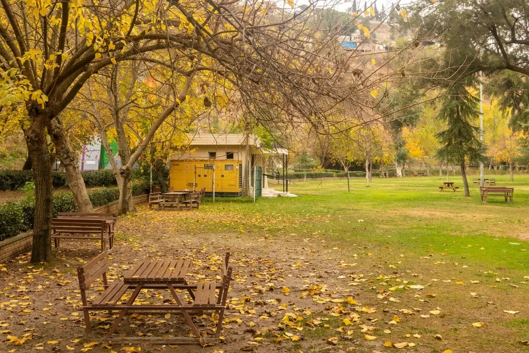 Area Ricreativa Pınarbaşı — Aydın — küçük resim 9