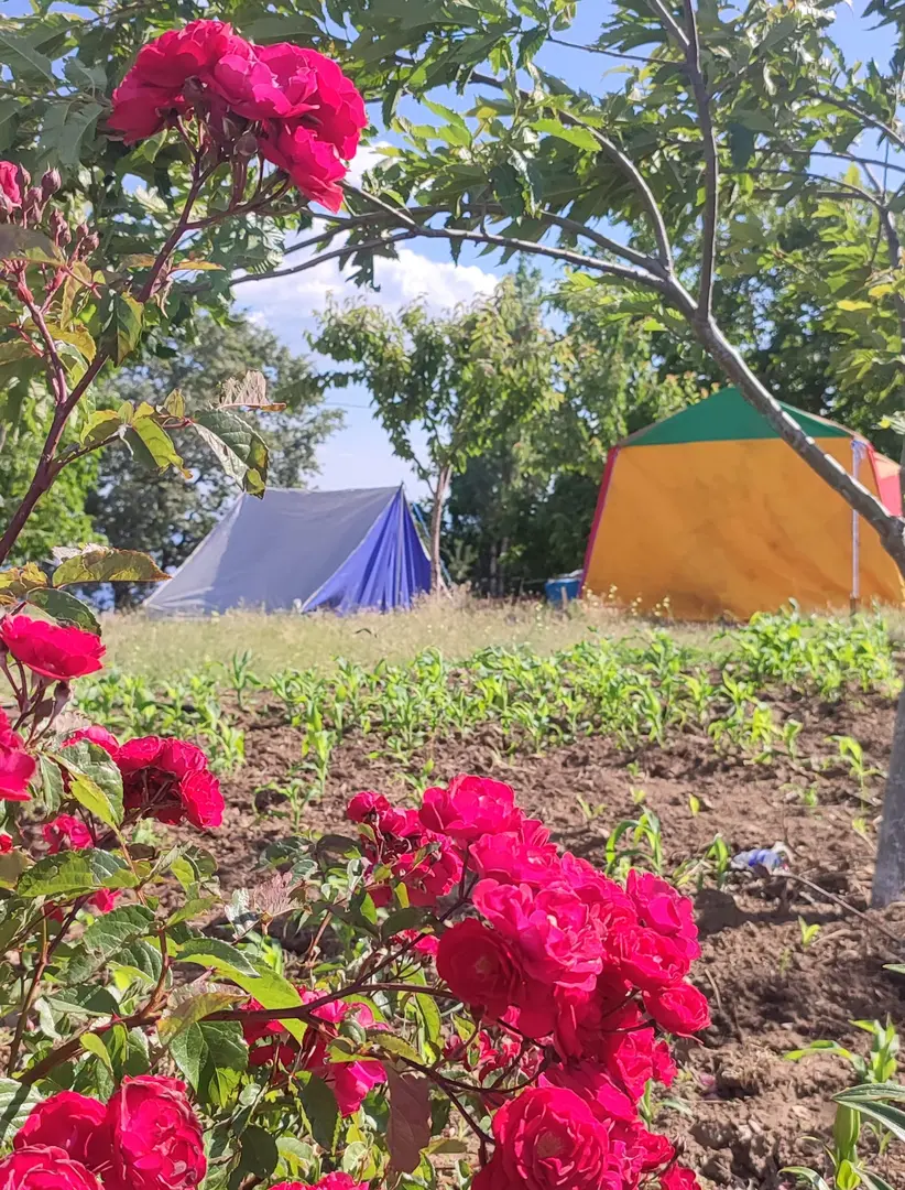 Muhtar's Tent Camp and Picnic Area — Aydın — küçük resim 9