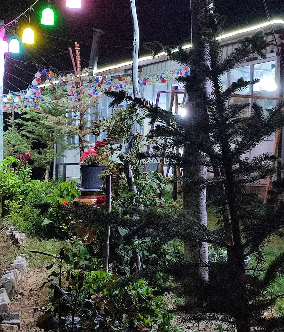 Muhtar's Tent Camp and Picnic Area — Aydın — küçük resim 8