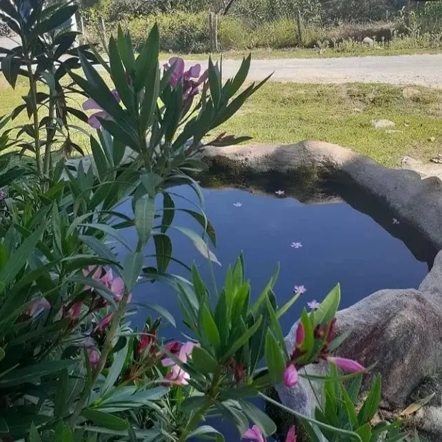 Alinda-Karya Yolu AileYanı Camping — Aydın — küçük resim 10