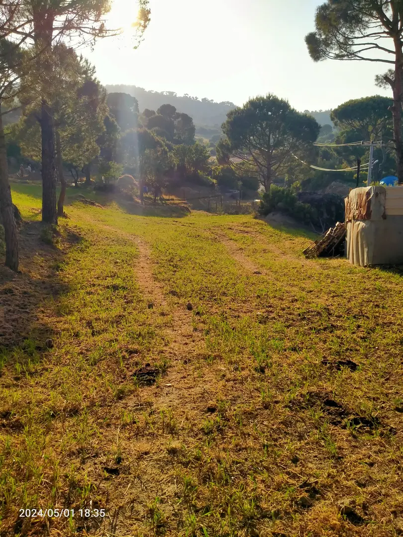 Alinda-Karya Yolu AileYanı Camping — Aydın — küçük resim 3